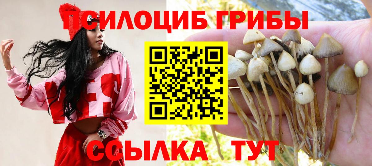 Кудрово  Галлюциногенные грибы ЛСД  Вход с VPN  Галлюциногенные грибы мицелий 